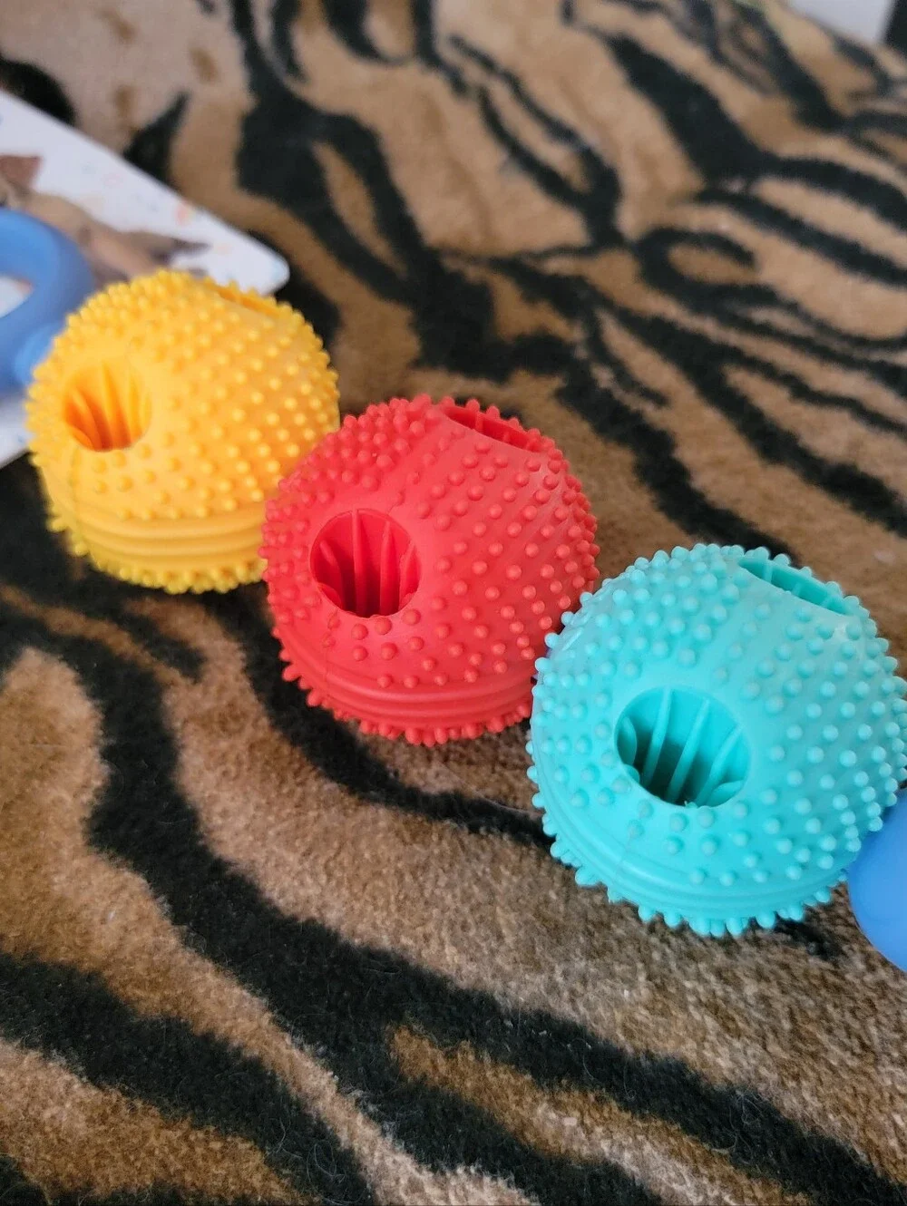 Teether Puppy Dog Dental Nuby Chew Toy Small New Ea.